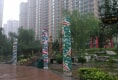 天洋城户型图实景图