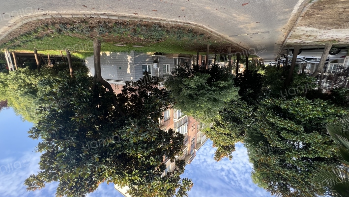 新武东小区外景图