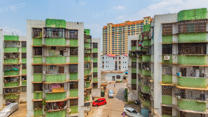 濠头园山村商住楼外景图