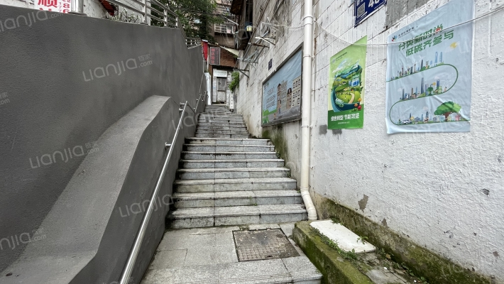 新添大道南段48号外景图