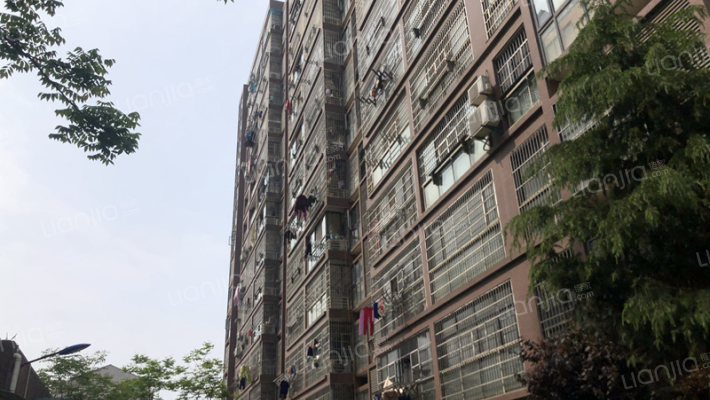 中央名都外景图