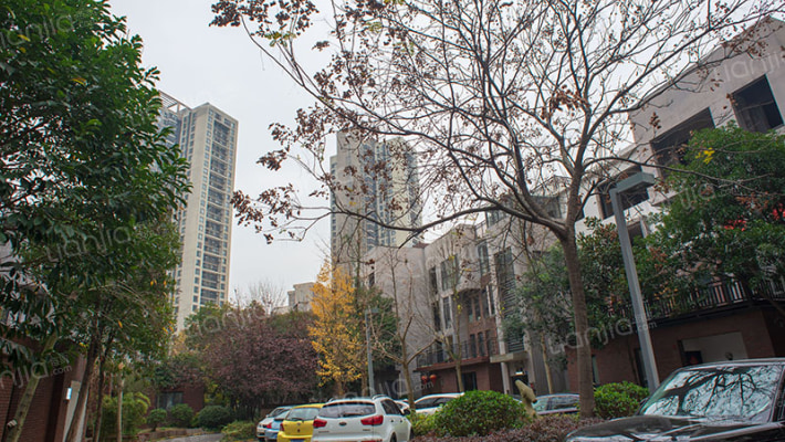 万科城一期外景图