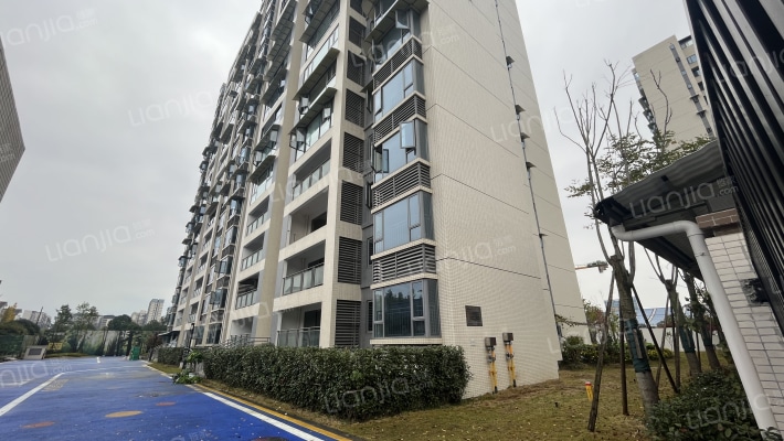 青江山水韵外景图