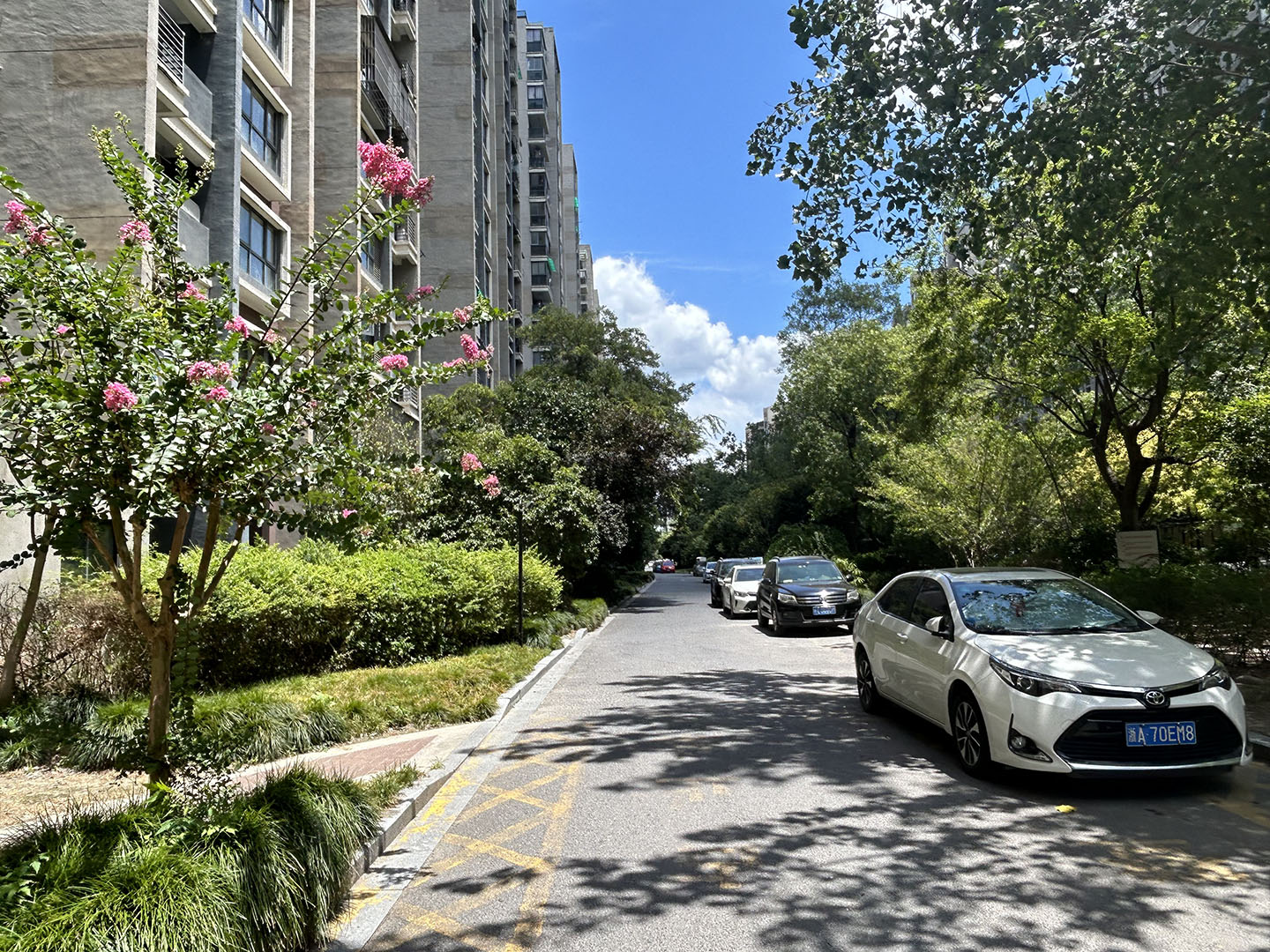  江畔云庐小区实景 4