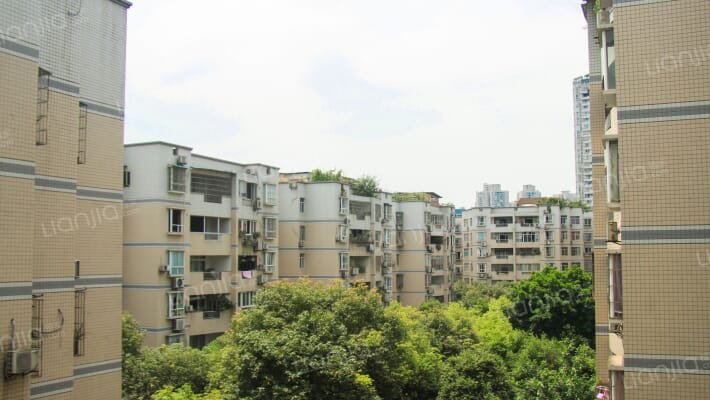 津南明珠外景图