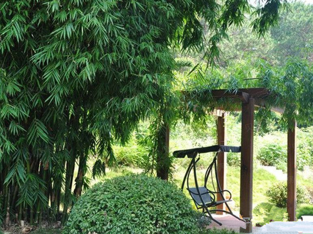 玉金山墅实景图