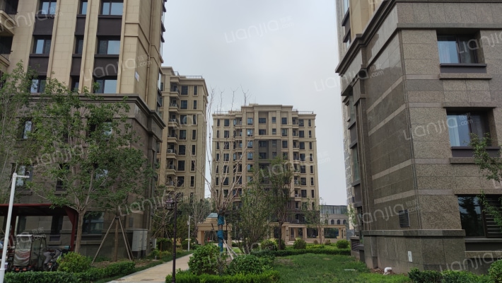 隆基泰和紫樾宸府外景图