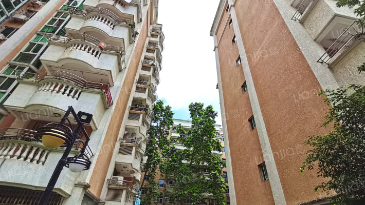 金迪星苑外景图