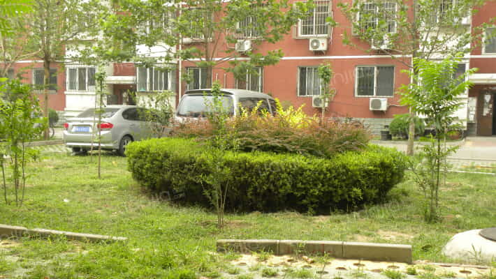 新兴家园外景图