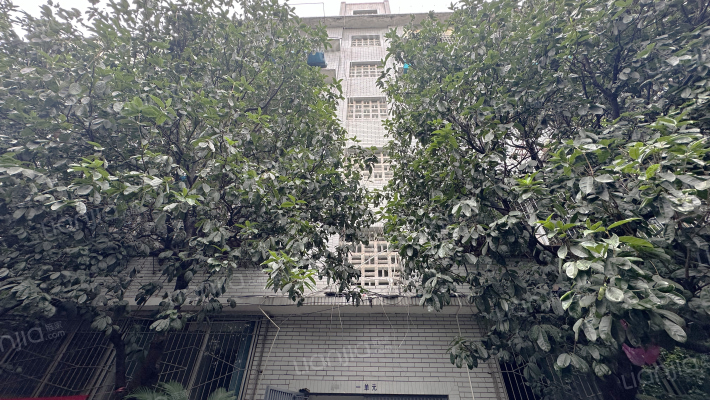 一环路西一段167号外景图