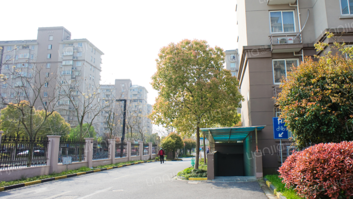 滨浦新苑九村外景图