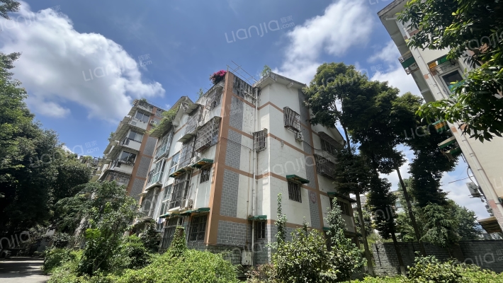 梧桐花园外景图