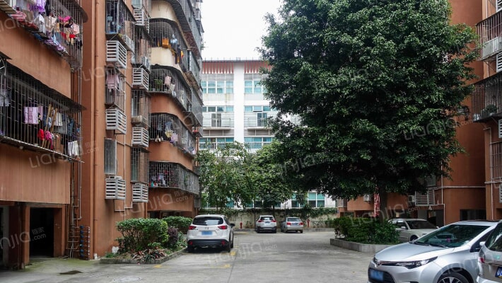 新苑小区外景图