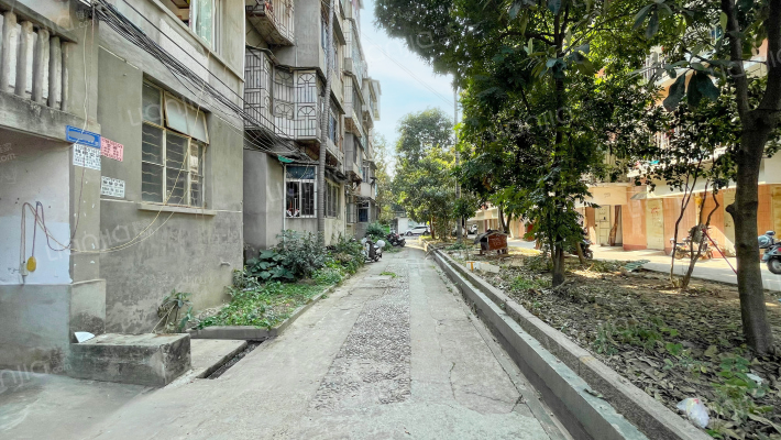 变压器厂宿舍外景图