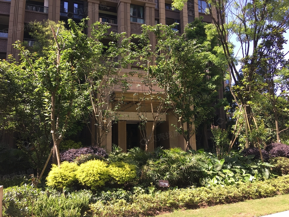 约克郡北区相册