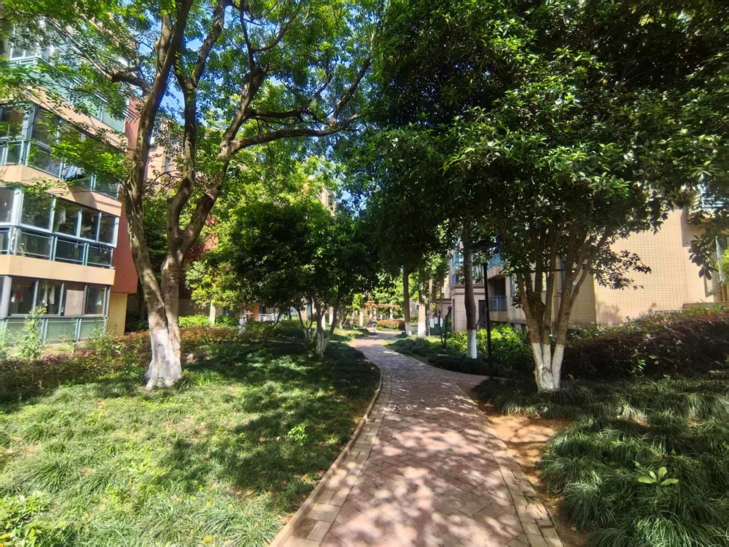 Tongcheng Yinxiang Dongqu compound photo 7