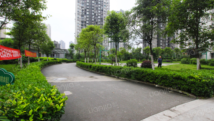 盛世龙都A区外景图