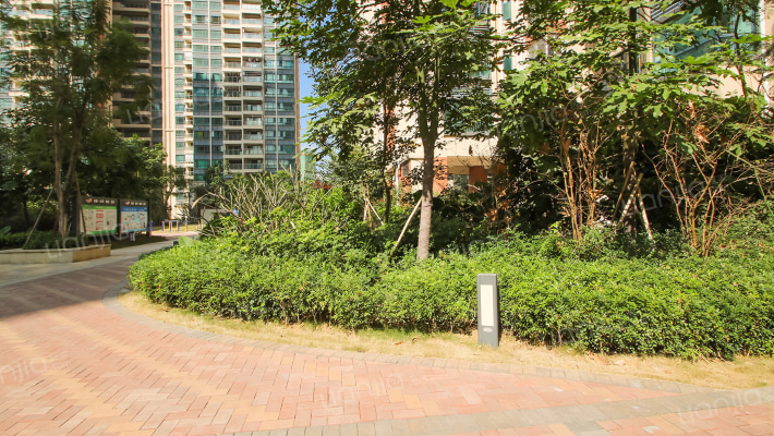 星月彩虹花苑(第一期)外景图