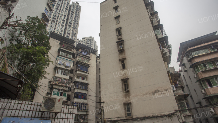 五人支路8附2号外景图