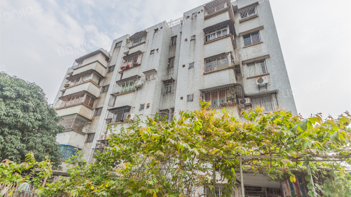 税局宿舍外景图