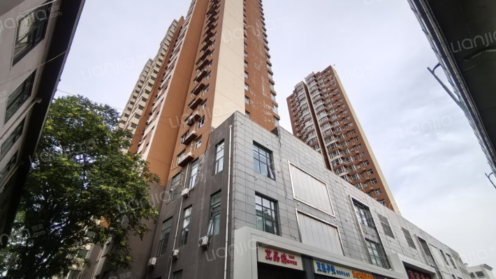 悦华名邸外景图