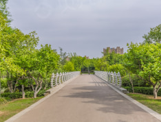 玉潭花溪实景图