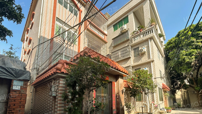 北滘自建房北滘居委会外景图