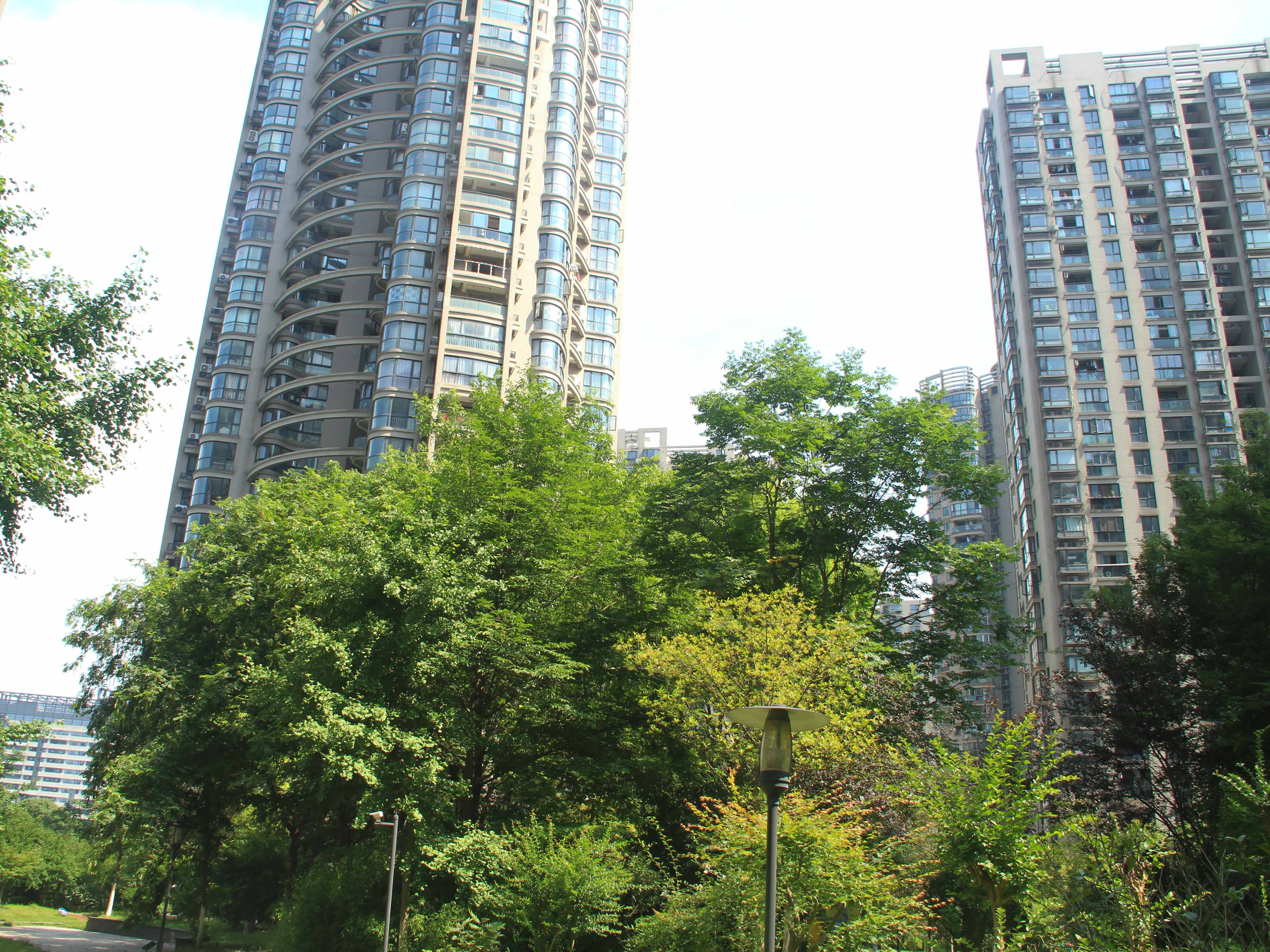 Water Mark City compound photo 8
