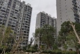 和盛家园户型图实景图