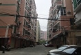新江雅苑户型图实景图