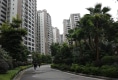 盈峰国际户型图实景图