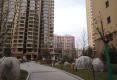 东方丽景户型图实景图
