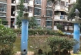琴海豪庭户型图实景图