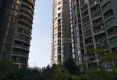 倾城home户型图实景图