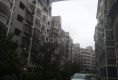 东方绿洲户型图实景图