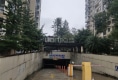 铂金瀚户型图实景图