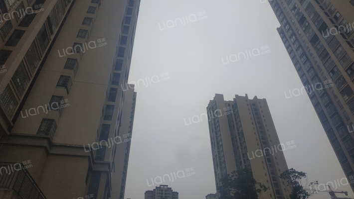 依云九街区外景图