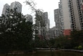 大唐盛世户型图实景图