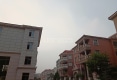 向阳苑户型图实景图