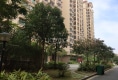 锦峰创业花园户型图实景图