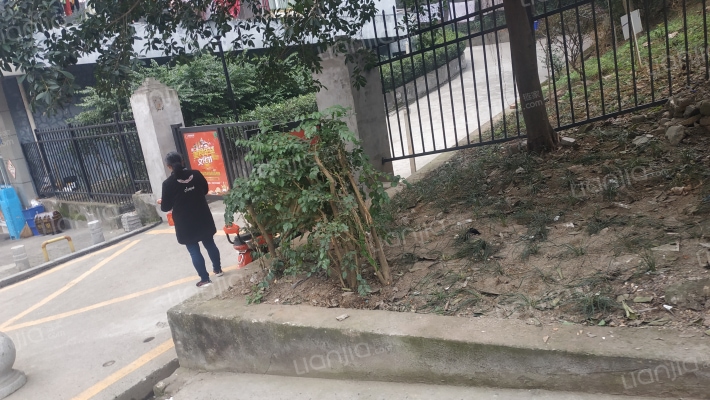 皇华长江国际外景图