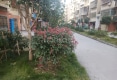梦圆新城户型图实景图