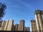 东鸿艺境实景图