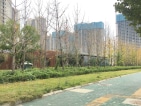 武汉翡翠中心B区实景图