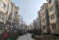 泰和园户型图实景图