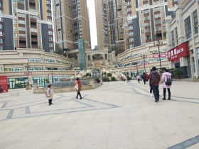 卧龙大都会一期