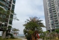 天河湾金湖蓝天户型图实景图
