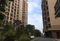 锦峰创业花园户型图实景图