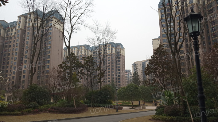 美丽泽京外景图