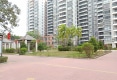 金河湾户型图实景图
